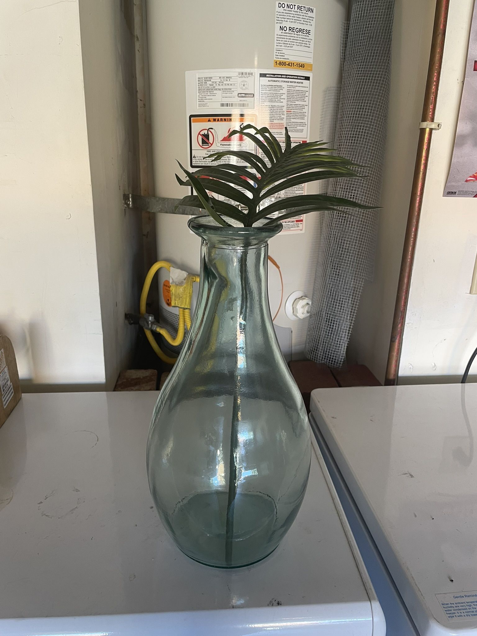 Vase With Plant
