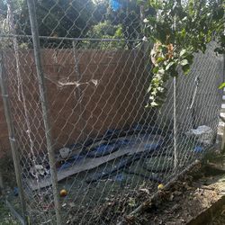 Dog Kennel 