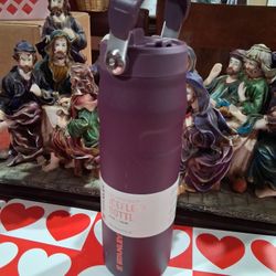 24 Oz Stanley Iceflow Bottle 