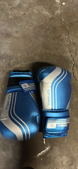 Sanabul Core Boxing Gloves