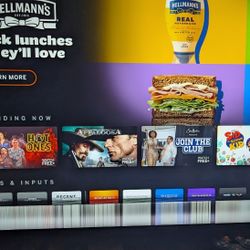 Defective 65 Inch Vizio Smart Tv 