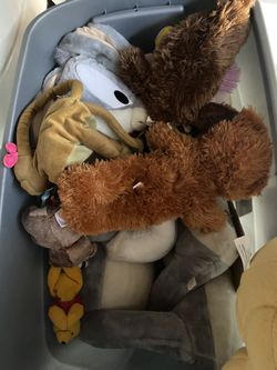 Stuff Animal Lot