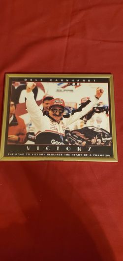 Dale Earnhardt Picture