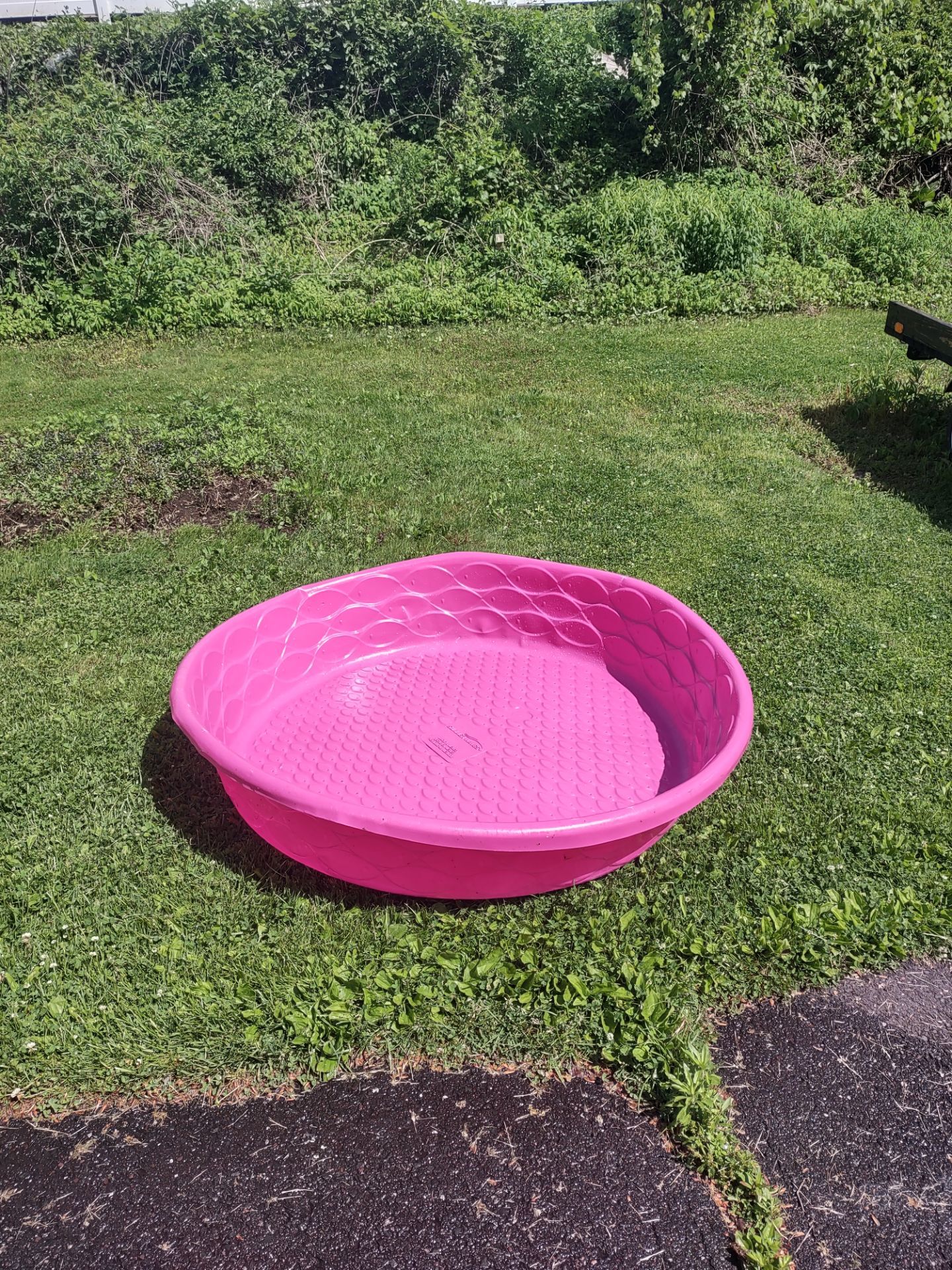 Kiddie pool