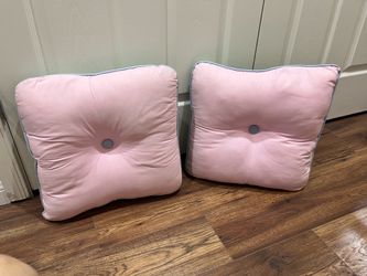 2 Accent throw Pillows
