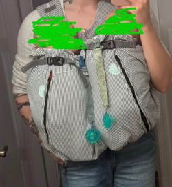 Twin baby carrier