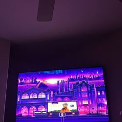 65 Inch Roku Philips Tv
