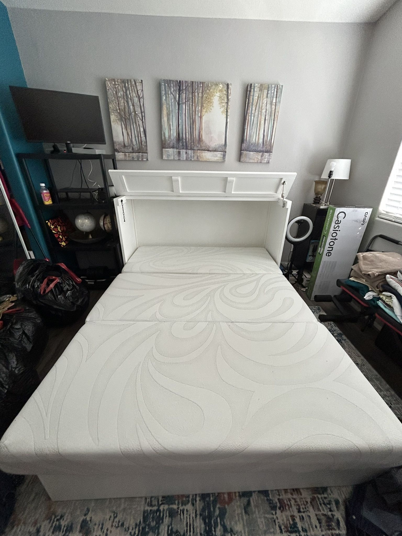 Murphy Bed