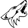 Coyot3