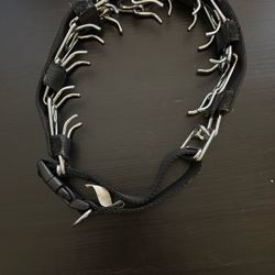 Prong Training Collar 