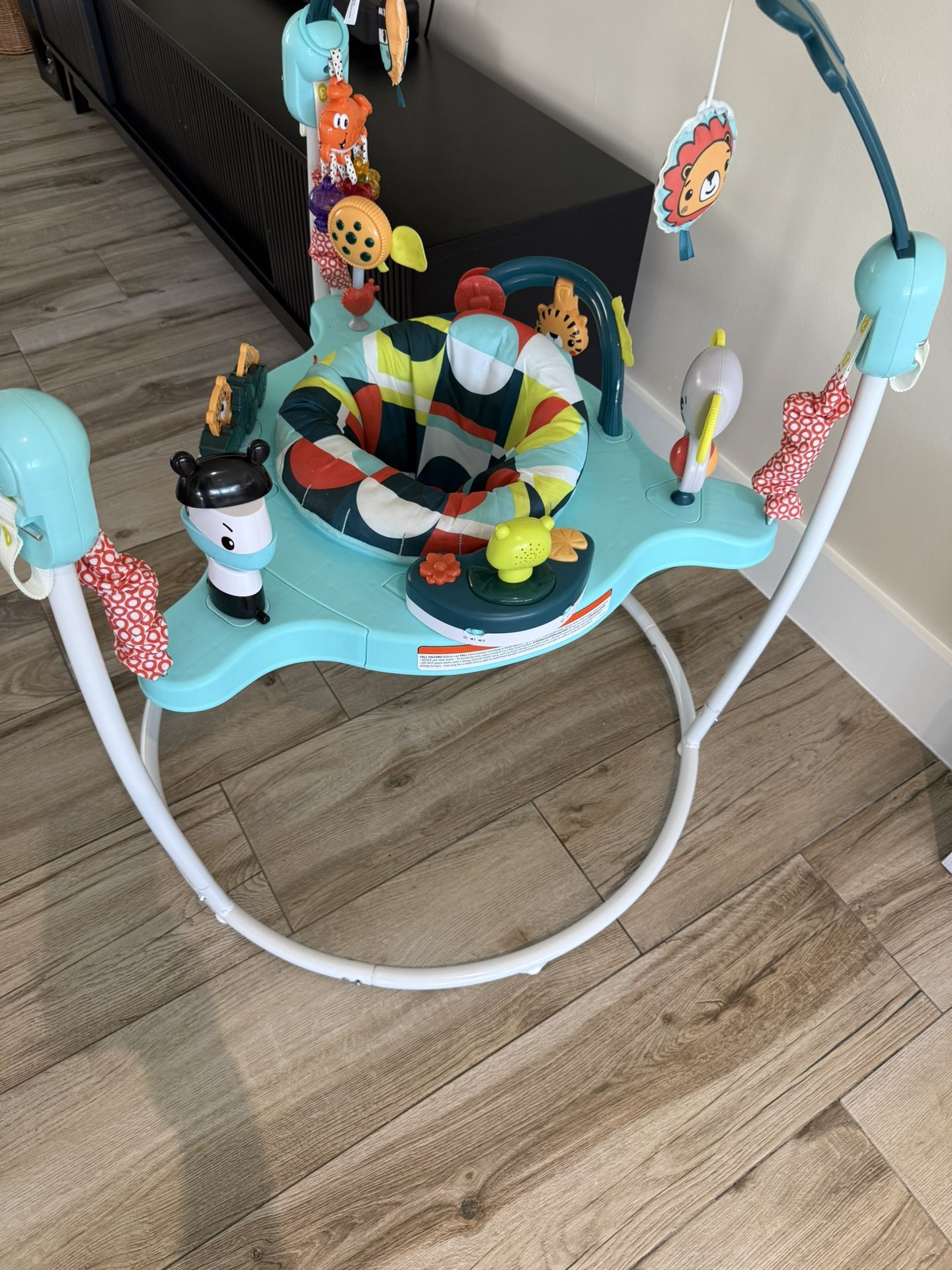 Fisher price baby Bouncer