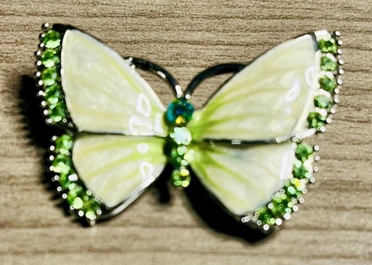Butterfly brooch new