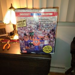 University Airblown Collection Cheapest One I Seen Online Was 125 So Asking 60 Others Were Up To 500