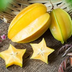 Starfruit Tree Grown From Seeds