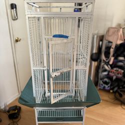 Bird Cage 