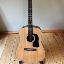 Washburn D12N Acoustic Guitar