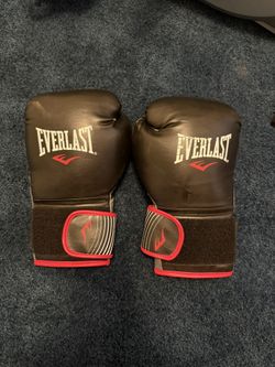 Everlast 16oz Boxing Gloves 