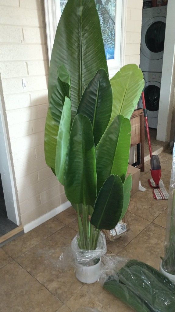 Two Bird Of Paradise Plants Fake