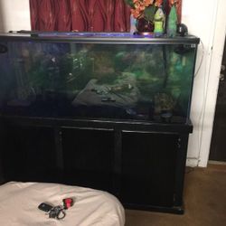 Fish Tank 120 gallon
