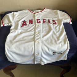 Camisa De Los Angeles size L 14/16