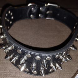 Spiked Alternative Collar