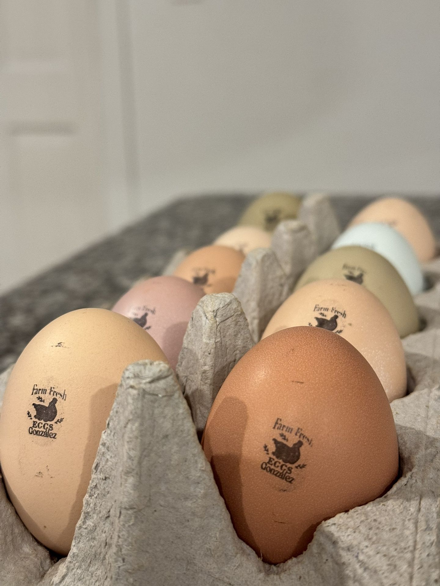 Selling Eggs! 🥚 Vendo Huevos!