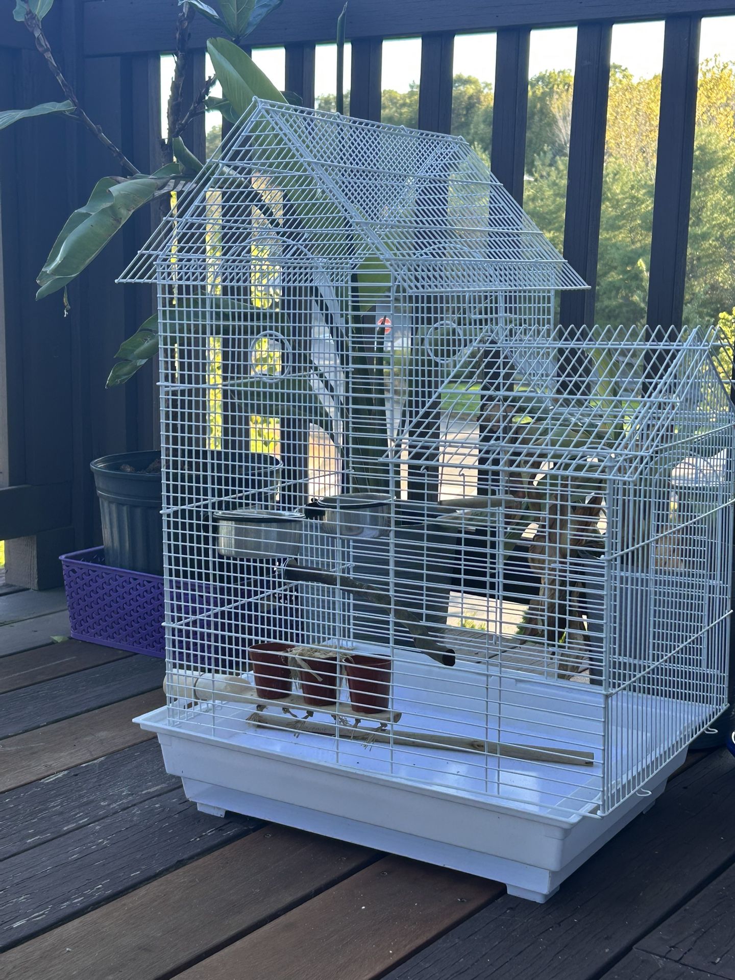 Birdcage