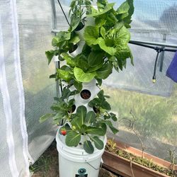 18 Plant Hydroponic Grow Tower