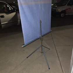 Vintage Radiant Projector Screen
