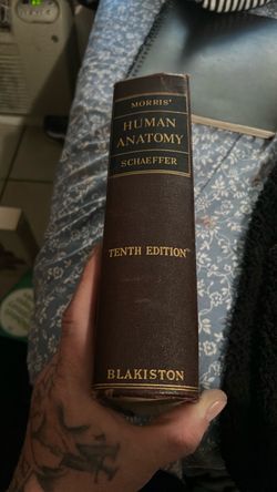 Morris' Human Anatomy Tenth Edition by Schaeffer