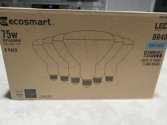 Ecosmart Light Bulbs- LED (daylight) 