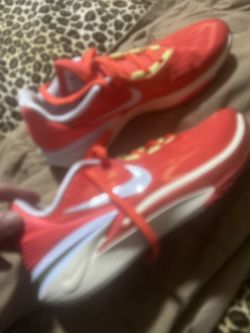 Nike Le Brons Z 1380