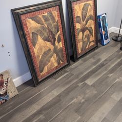 2 Paragon picture gallery 