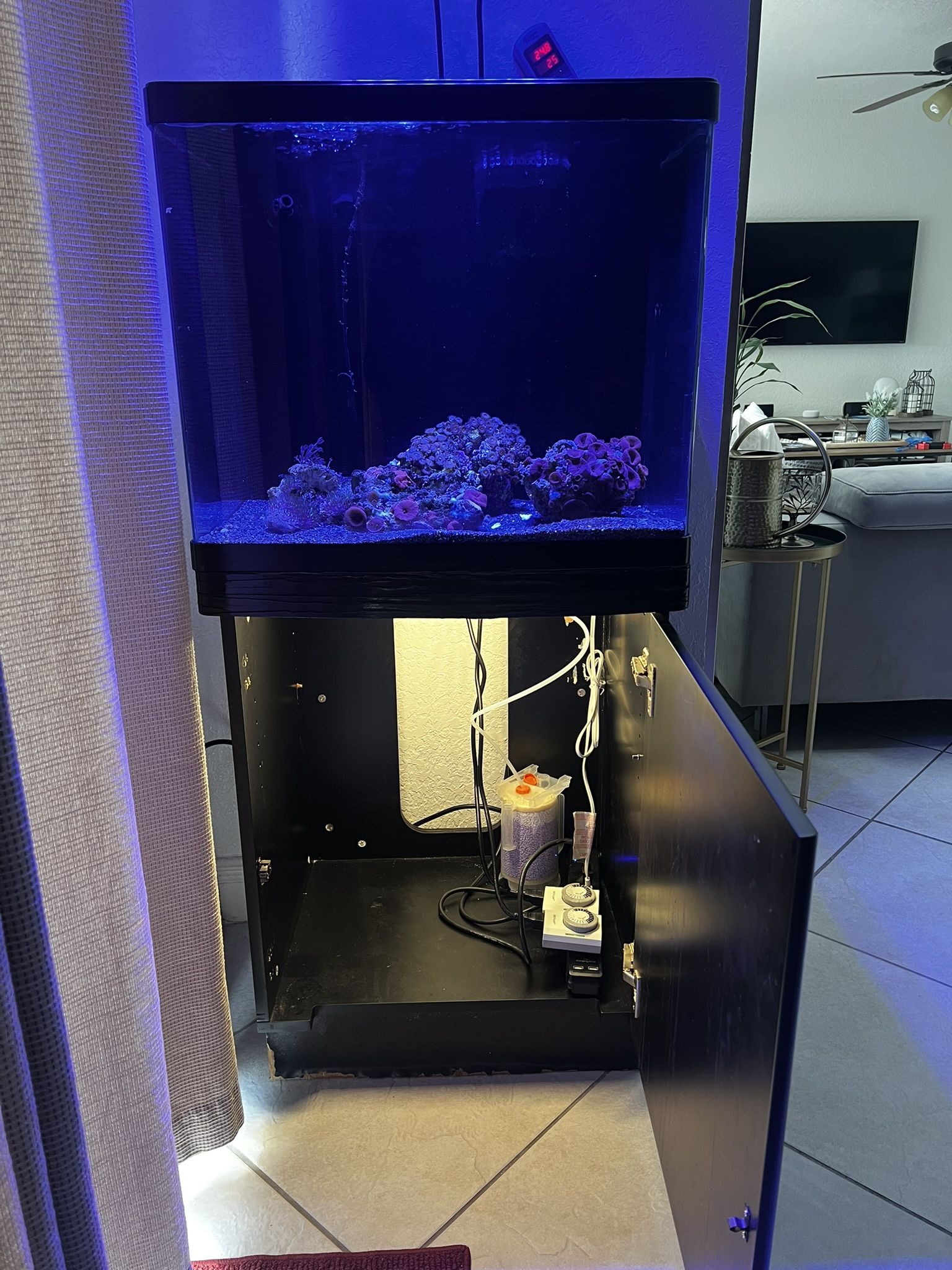 34g Reef-Ready Glass Red Sea Max 130D AIO Aquarium for Sale in
