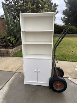 White Cabinet/Bookshelf