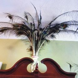 50 Pcs Natural Peacock Feathers with Eyes Tail Feathers for Home Decor, Craftsman Supplies 