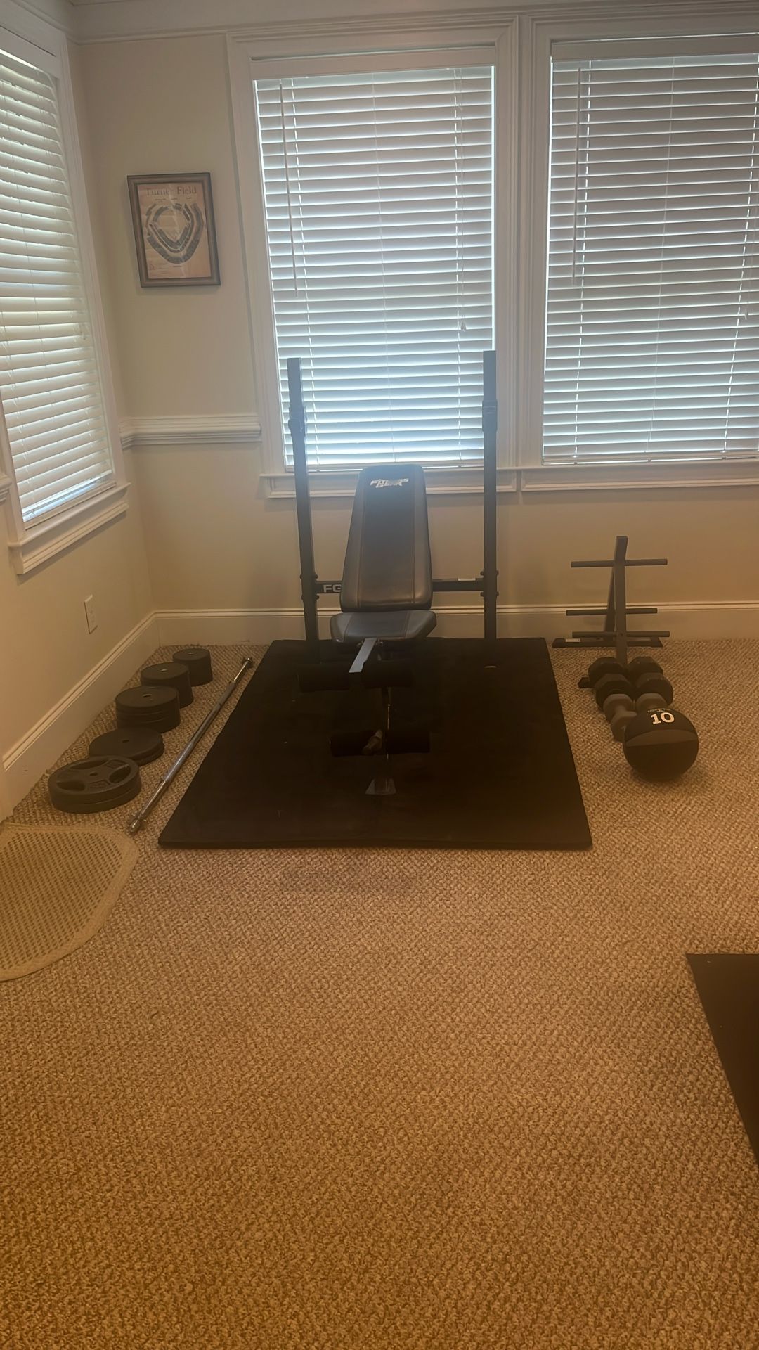 Incline Weight Bench, Weights, Plate Rack, Small Dumbbells