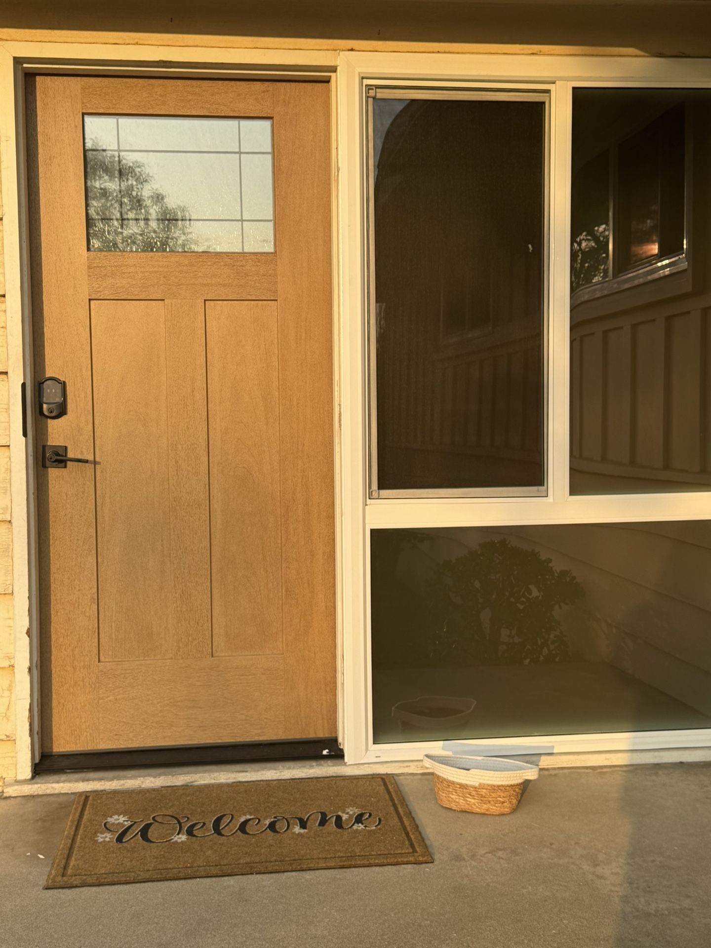 Exterior fiberglass Door Beechwood