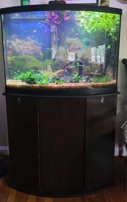 Fish Tank