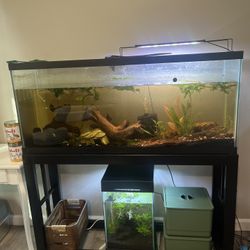 55g fish tank with stand 