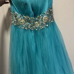 Quince/ Long Puffy Dress 