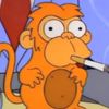Smoking Monkey