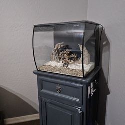 FLUVAL FLEX 15 GAL WITH STAND