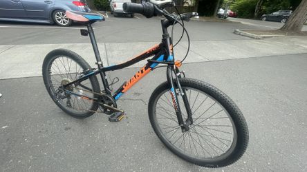 Giant Bike