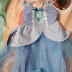 Cinderella Costume 