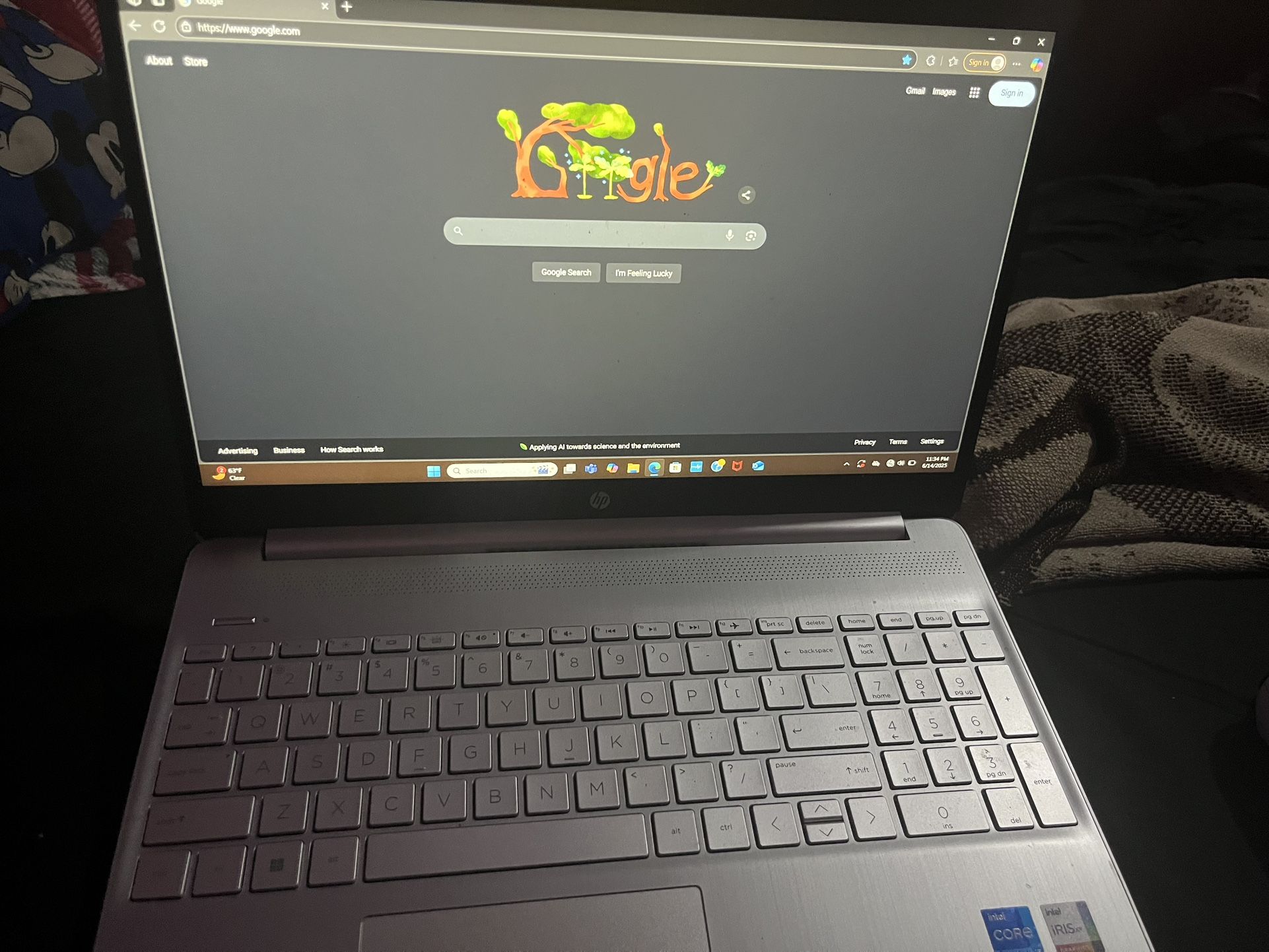 Hp Laptop