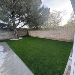 Artificial Grass Turf