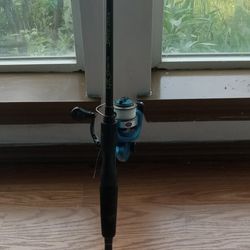 Fishing Rod With Reel