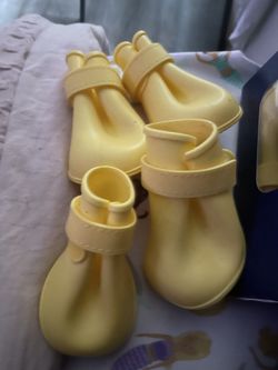 Dog Rain Boots