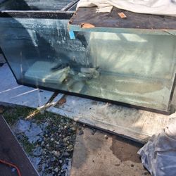 I Have  2  Fish Tanks Left  1 Is 60 Gal And 1 Is 55 Gal
